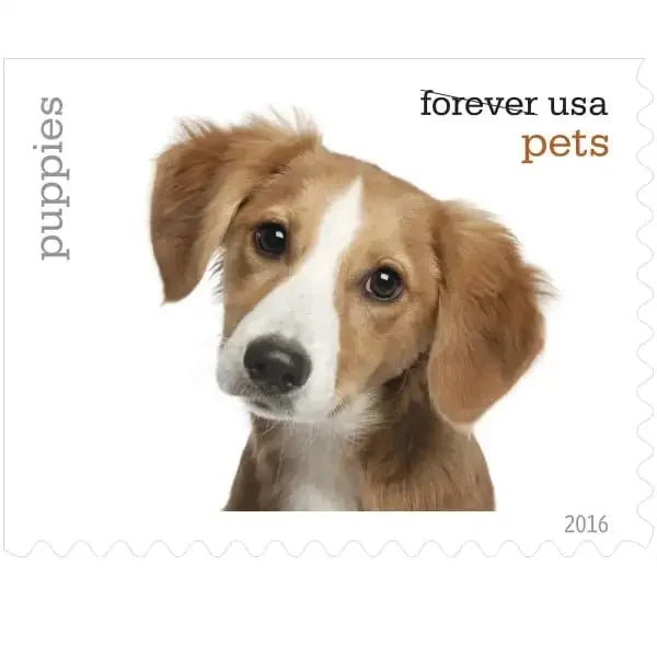 Pets 2016 Forever Postage Stamps Adhesive Booklet
