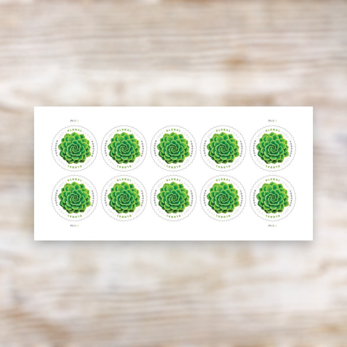 Green Succulent 2017 Global Forever Postage Stamps Self-Adhesive Sheet for International Mail