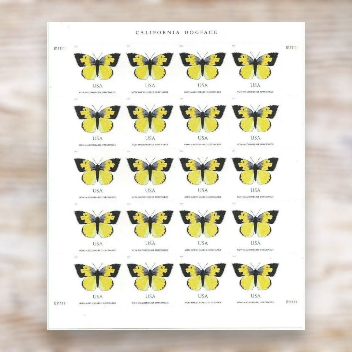 California Dogface Butterfly 2019 Non-Machineable Surcharge Postage Stamps Self-Adhesive Sheet for Square Envelopes and Invitations