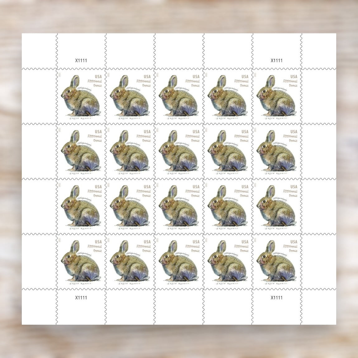 Brush Rabbit 2021 Additional Ounce Postage Stamps Self-Adhesive Sheet for Extra Postage