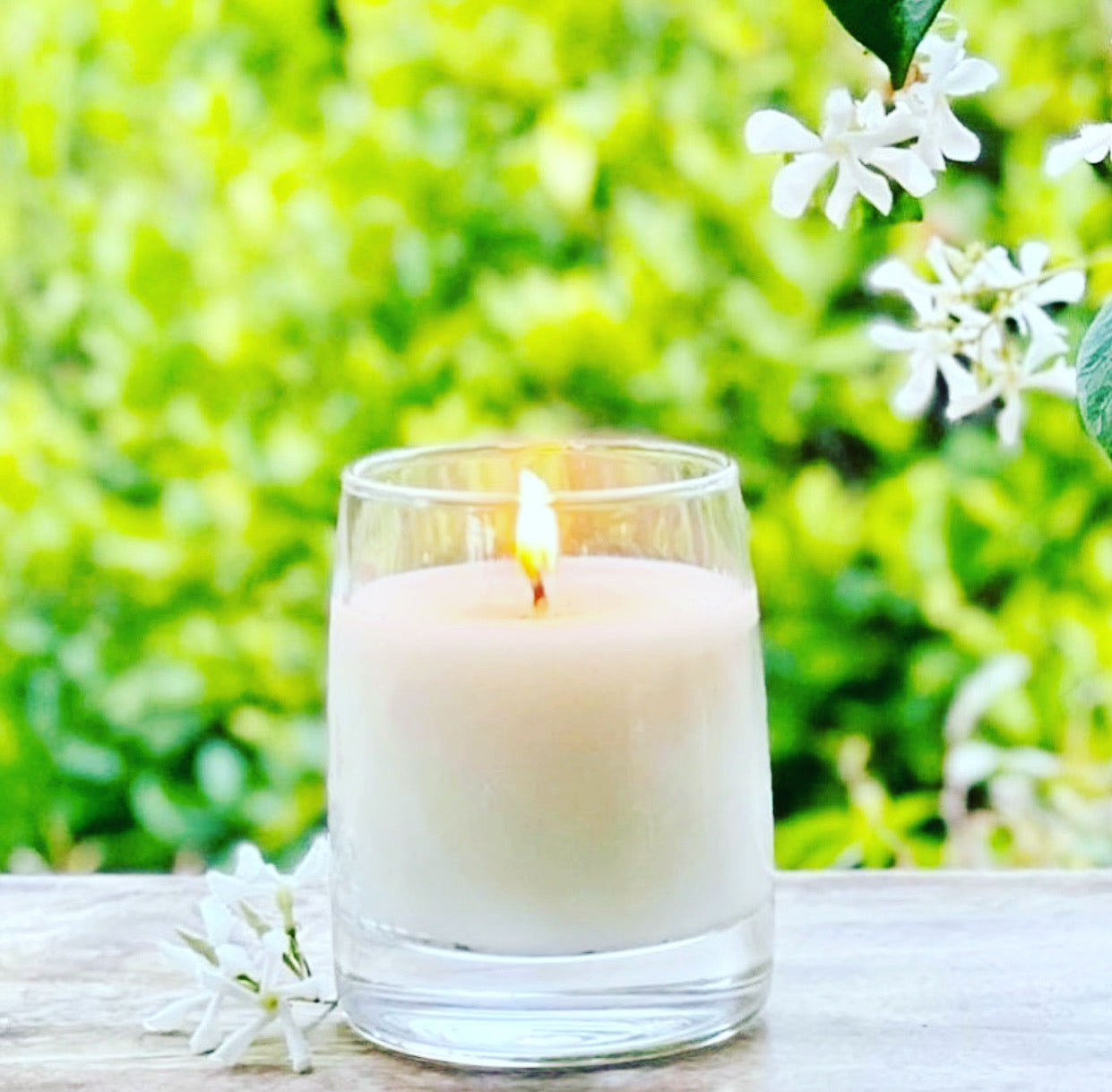 Citronella Soy Candles – Three Scent Options, Clean-Burning & Made in the USA - Decor Akil