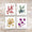 Winter Berries 2019 Forever Postage Stamps Adhesive Booklet for Holiday Celebration
