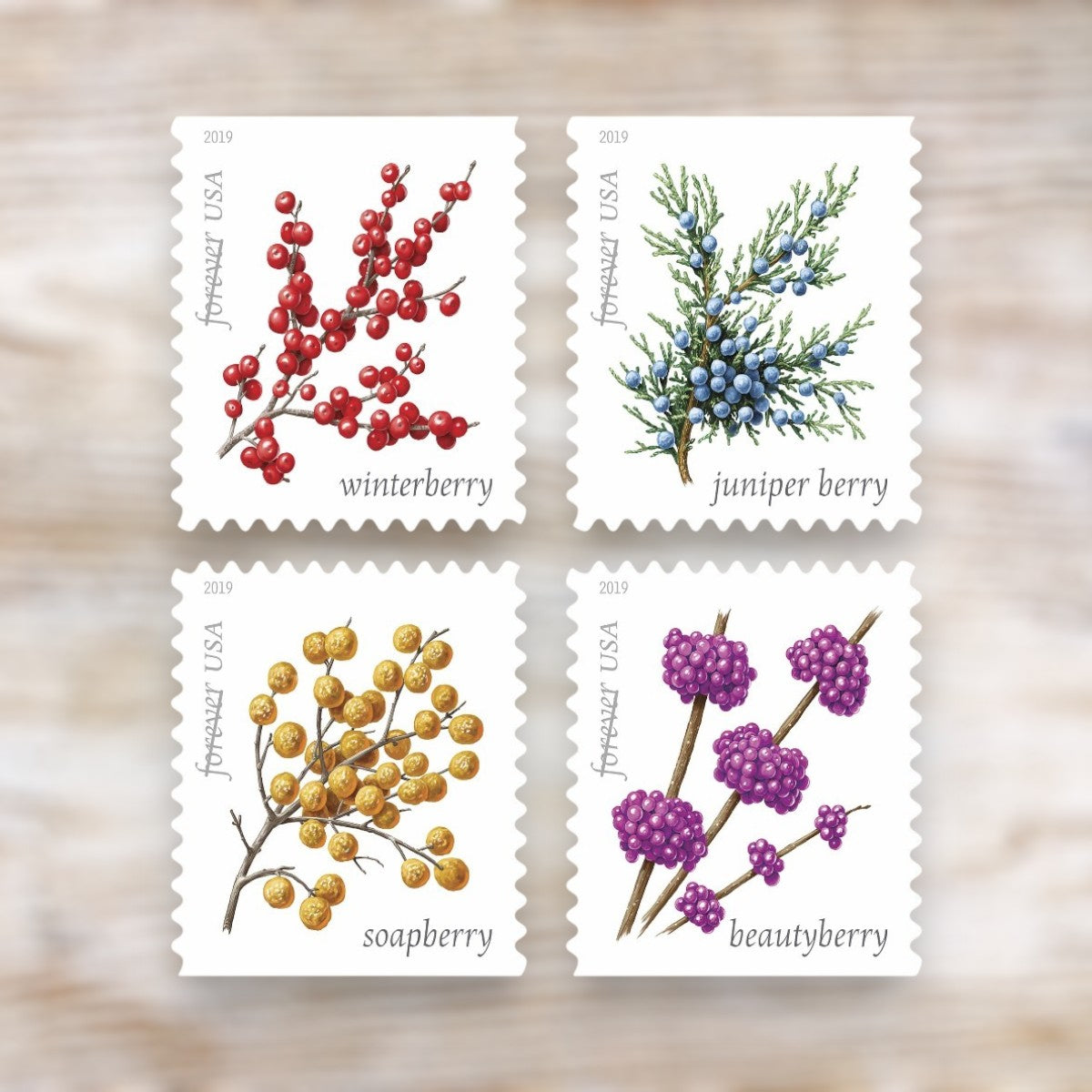 Winter Berries 2019 Forever Postage Stamps Adhesive Booklet for Holiday Celebration