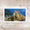 Protect Sea Turtles 2024 Forever Postage Stamps Adhesive Sheet for Commemorative Mailing