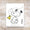 Charles M. Schulz Centennial 2022 Forever Postage Stamps Self-Adhesive Sheet for Commemorative Mail