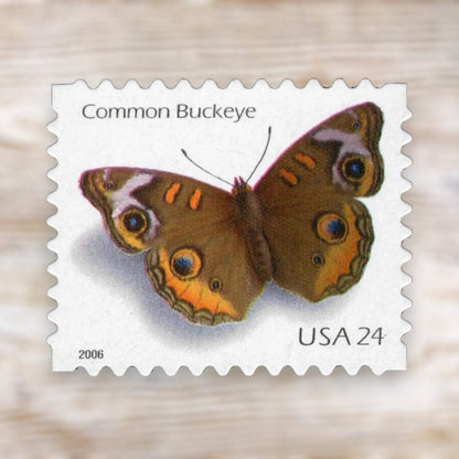 Common Buckeye Butterfly 2006 24¢ Stamps Self-Adhesive Sheet for Additional Postage