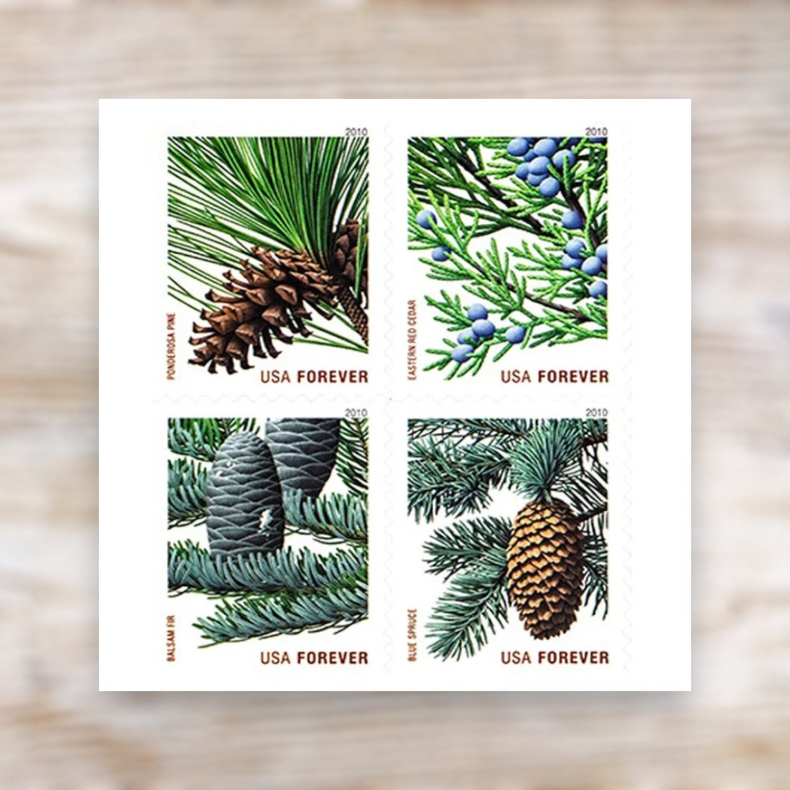 Holiday Evergreens 2010 Forever Postage Stamps Self-Adhesive Booklet for Holiday Mail