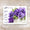Love Garden Pansies 2010 Forever Postage Stamps Adhesive Sheet for Wedding Invitations