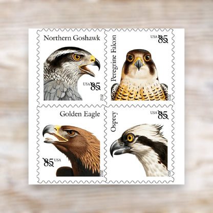 Birds of Prey 2012 85¢ Postage Stamps Self-Adhesive Sheet for Additional Postage