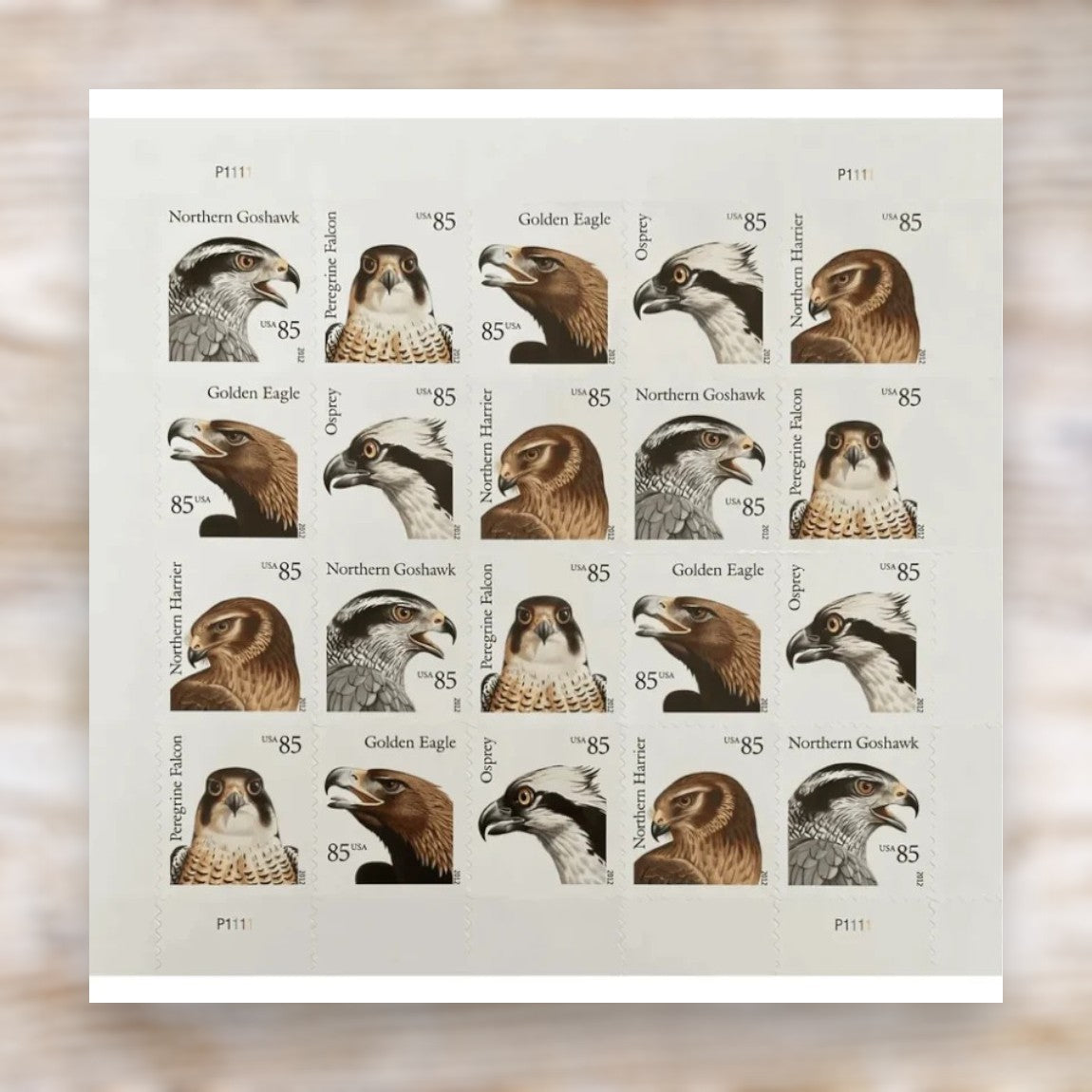 Birds of Prey 2012 85¢ Postage Stamps Self-Adhesive Sheet for Additional Postage