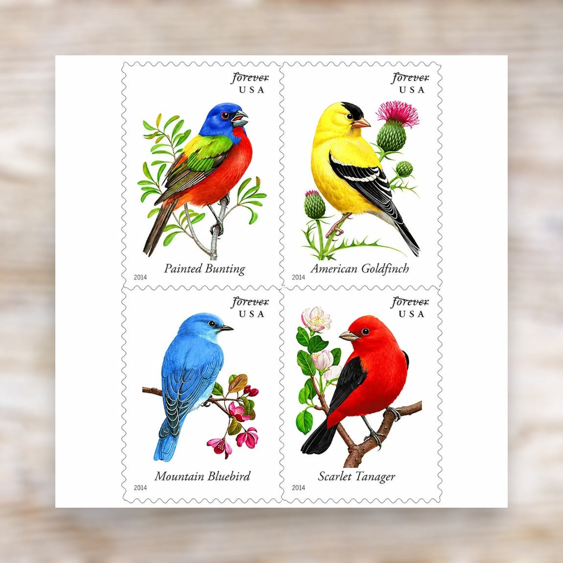 2014 Songbirds Forever Postage Stamps Self-Adhesive Booklet for Everyday Mail