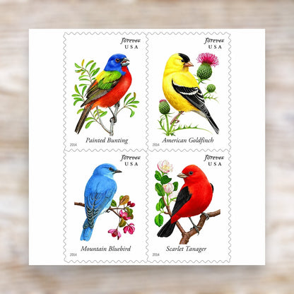 2014 Songbirds Forever Postage Stamps Self-Adhesive Booklet for Everyday Mail