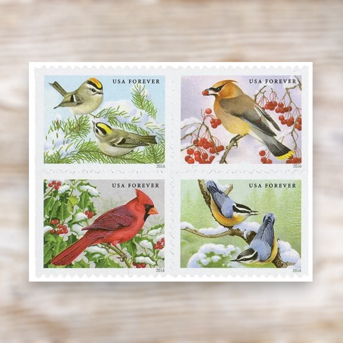 Songbirds in Snow 2016 Forever Postage Stamps Self-Adhesive Booklet for Winter Mail