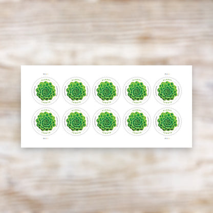 Green Succulent 2017 Global Forever Postage Stamps Self-Adhesive Sheet for International Mail