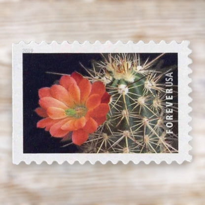 Cactus Flowers 2019 Forever Postage Stamps Self-Adhesive Booklet for Everyday Mail