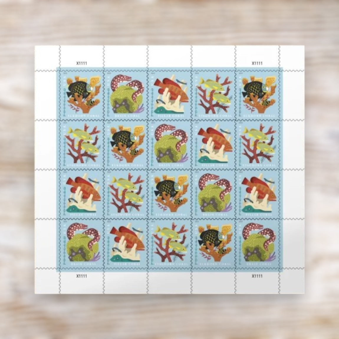 2019 Coral Reefs Postcard Stamps Self-Adhesive Pane of 20 for Postcards