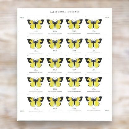 California Dogface Butterfly 2019 Non-Machineable Surcharge Postage Stamps Self-Adhesive Sheet for Square Envelopes and Invitations