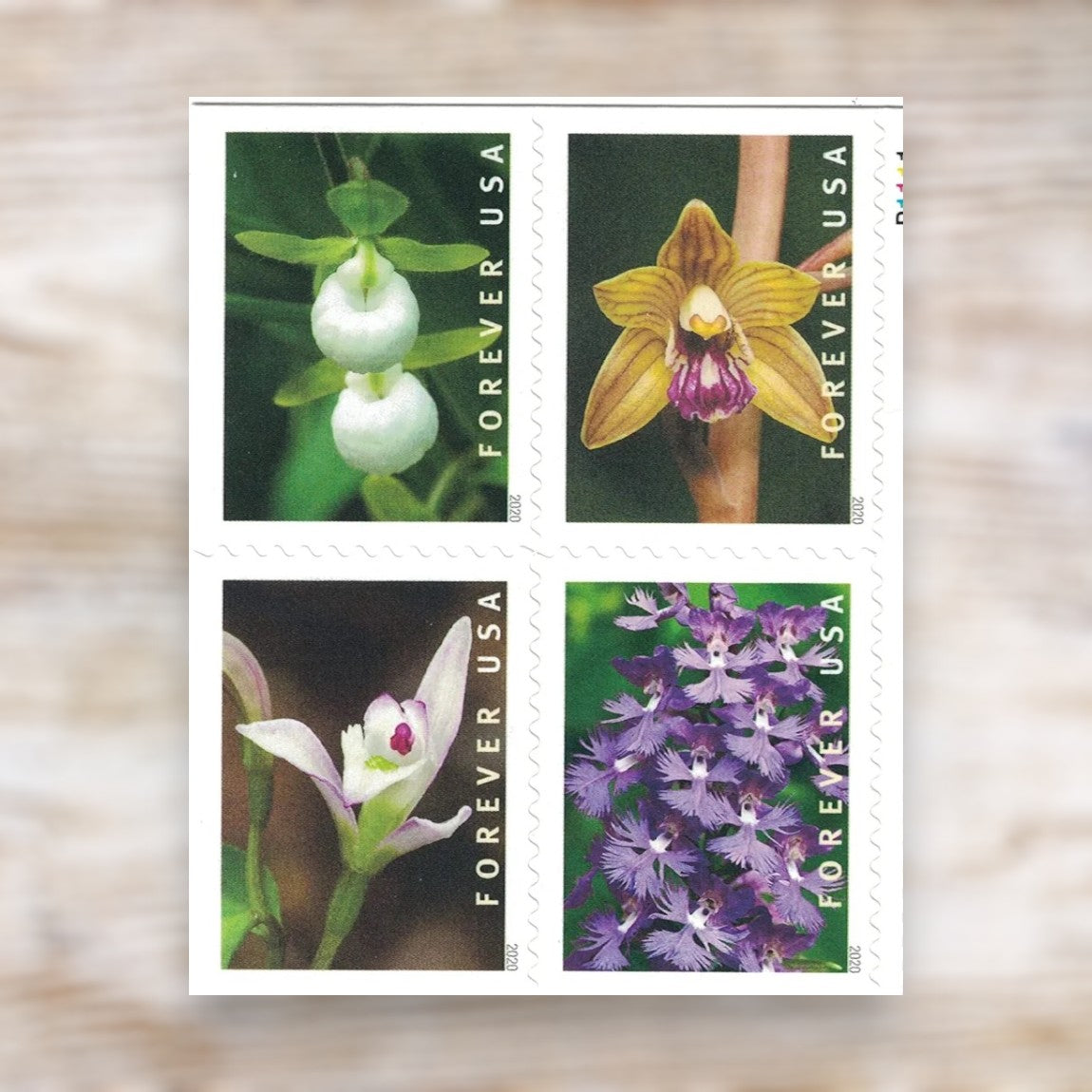 2020 Wild Orchids Forever Postage Stamps Self-Adhesive Booklet for Everyday Mail and Invitations