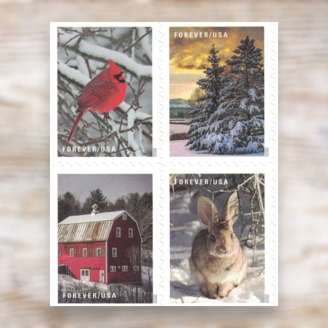 Winter Scenes 2020 Forever Postage Stamps Self-Adhesive Booklet for Winter Mail
