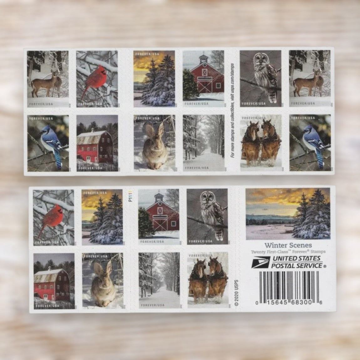 Winter Scenes 2020 Forever Postage Stamps Self-Adhesive Booklet for Winter Mail