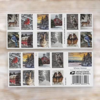 Winter Scenes 2020 Forever Postage Stamps Self-Adhesive Booklet for Winter Mail