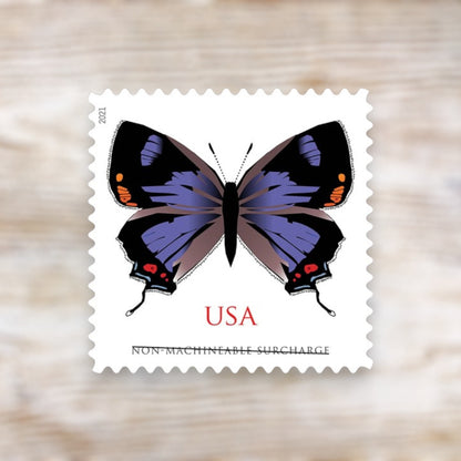2021 Colorado Hairstreak Butterfly Non-Machineable Surcharge Stamps Self-Adhesive Sheet for Square Envelopes