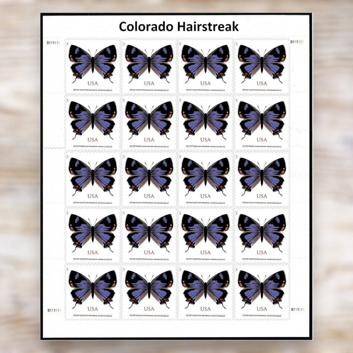 2021 Colorado Hairstreak Butterfly Non-Machineable Surcharge Stamps Self-Adhesive Sheet for Square Envelopes