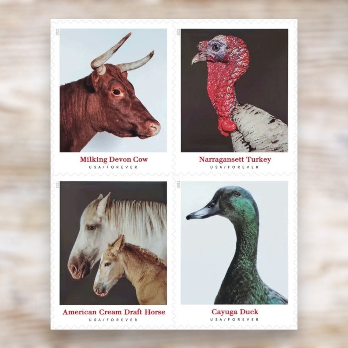 Heritage Breeds 2021 Forever Postage Stamps Self-Adhesive Sheet for Commemorative Mail