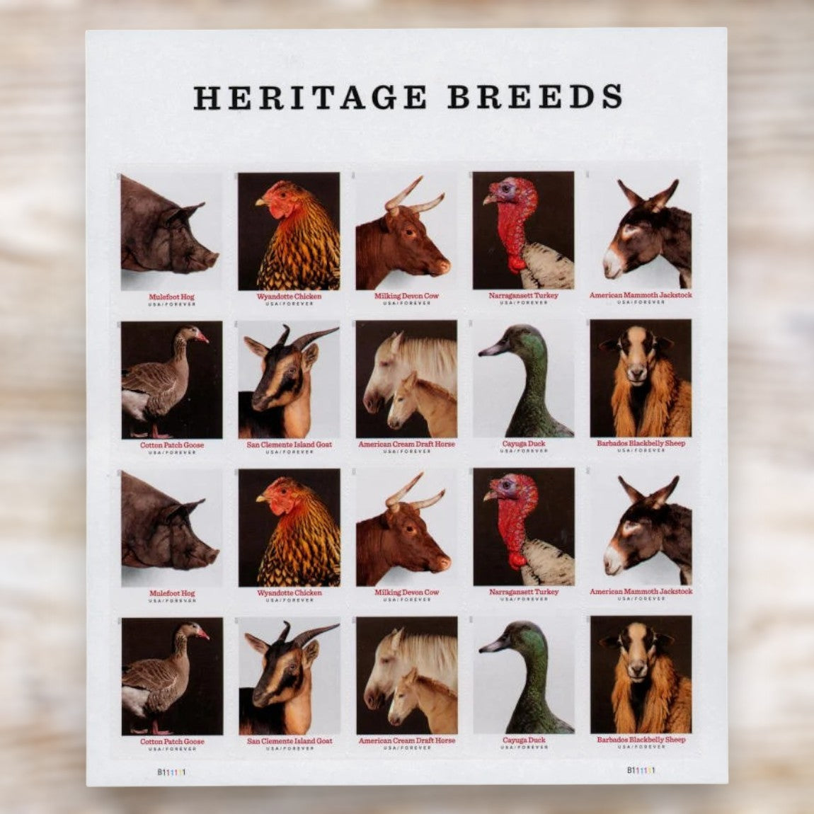 Heritage Breeds 2021 Forever Postage Stamps Self-Adhesive Sheet for Commemorative Mail