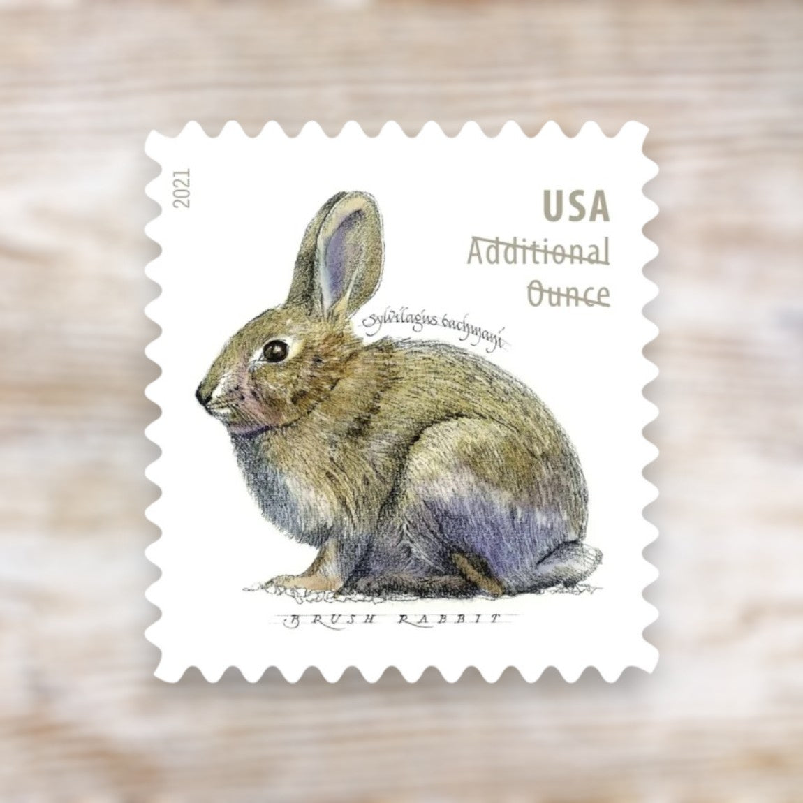 Brush Rabbit 2021 Additional Ounce Postage Stamps Self-Adhesive Sheet for Extra Postage