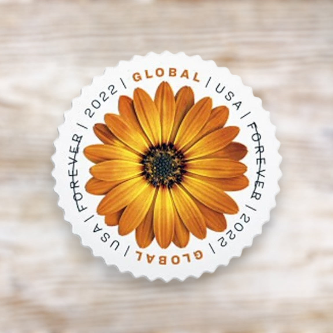 African Daisy 2022 Global Forever Postage Stamps Self-Adhesive Sheet for International Mail
