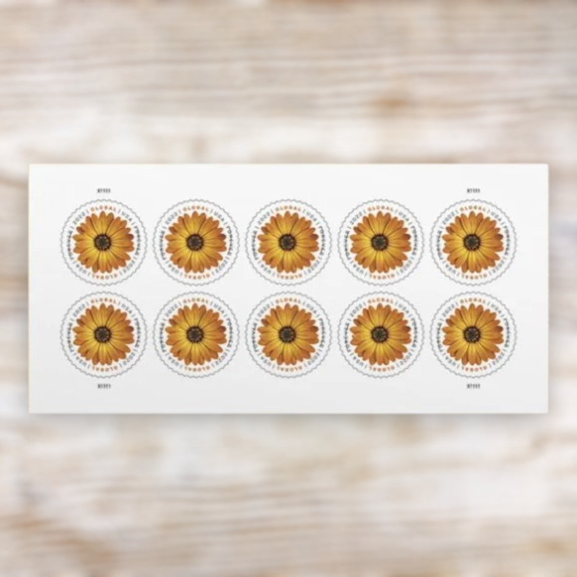 African Daisy 2022 Global Forever Postage Stamps Self-Adhesive Sheet for International Mail