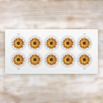 African Daisy 2022 Global Forever Postage Stamps Self-Adhesive Sheet for International Mail