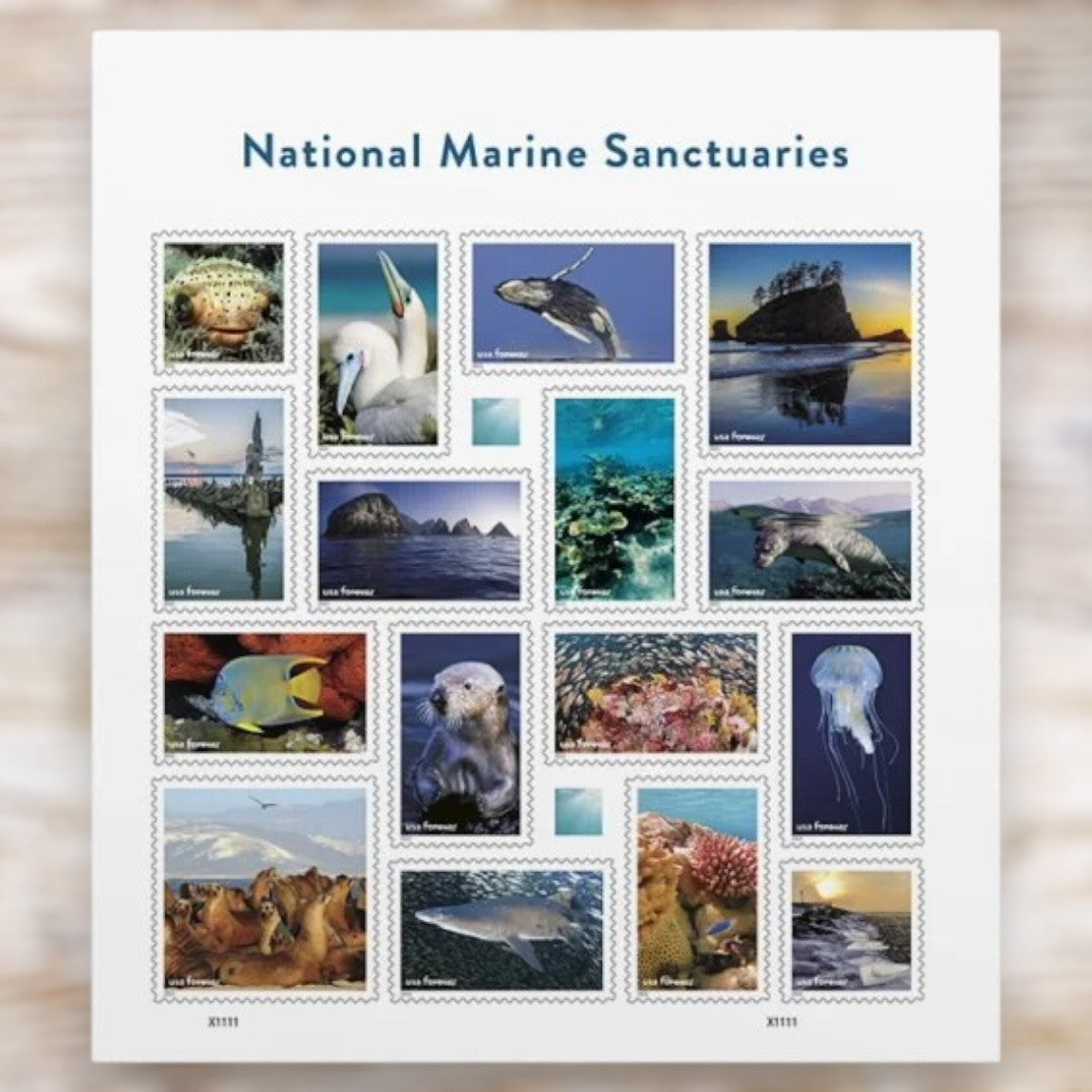 National Marine Sanctuaries 2022 Forever Postage Stamps Self-Adhesive Sheet for Commemorative Mail