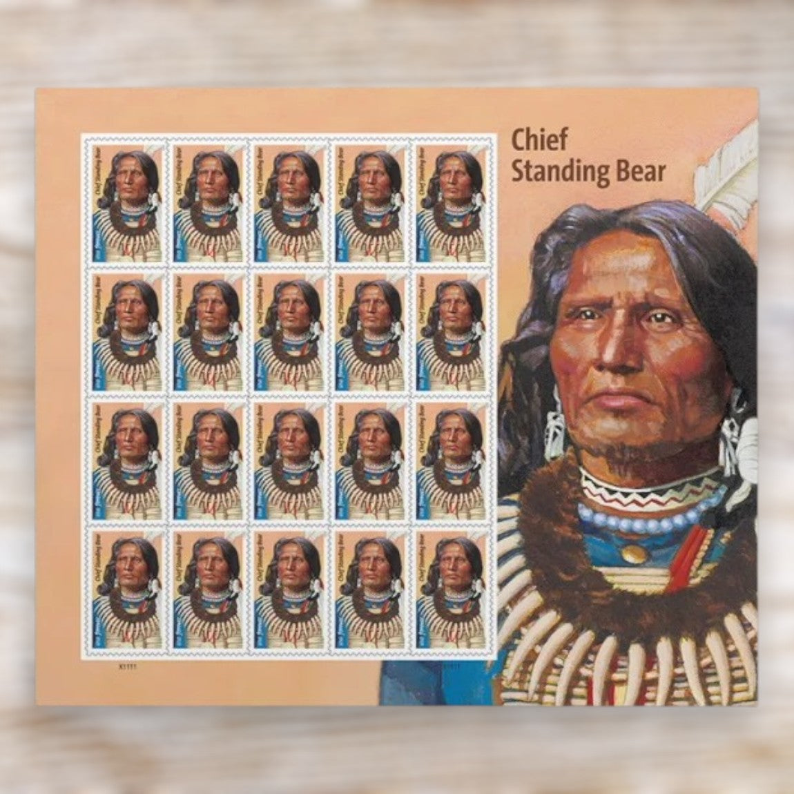 Chief Standing Bear 2023 Forever Postage Stamps Self-Adhesive Sheet for Commemorative Mail