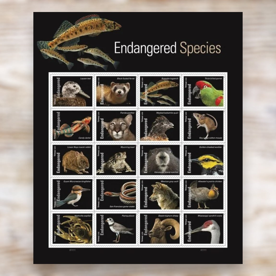 Endangered Species 2023 Forever Postage Stamps Self-Adhesive Sheet for Commemorative Mail