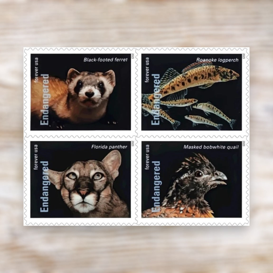 Endangered Species 2023 Forever Postage Stamps Self-Adhesive Sheet for Commemorative Mail