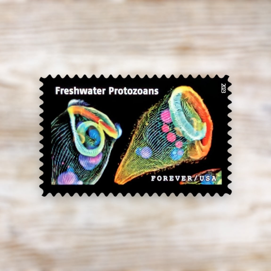 Life Magnified 2023 Forever Postage Stamps Self-Adhesive Sheet for Commemorative Mail