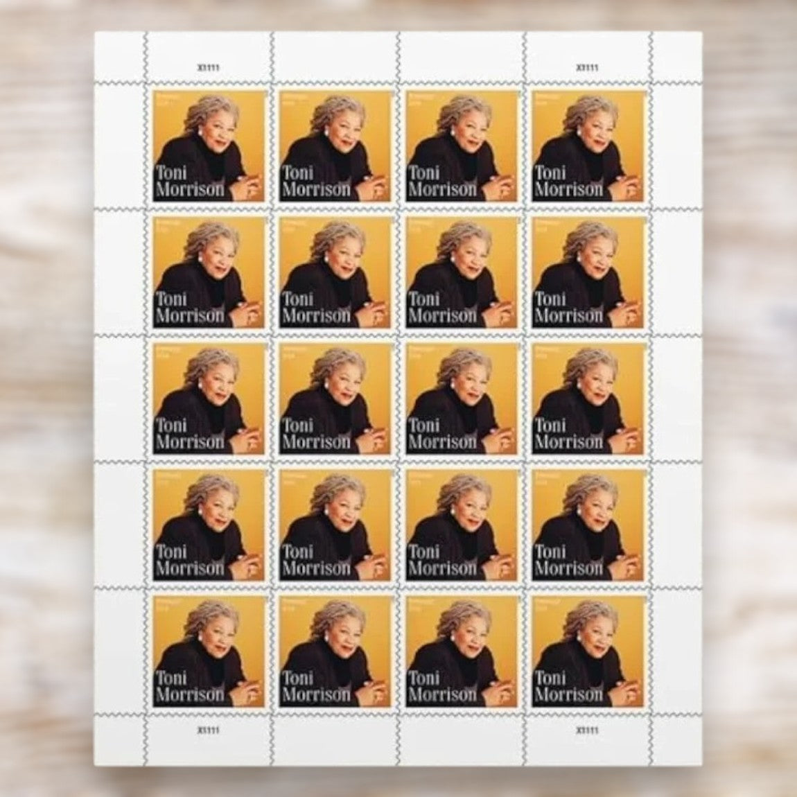 Toni Morrison 2023 Forever Postage Stamps Self-Adhesive Sheet for Commemorative Mail