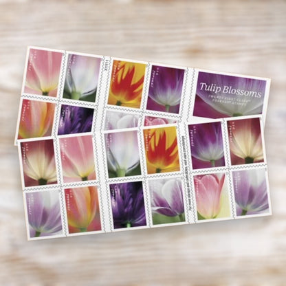 Tulip Blossoms 2023 Forever Postage Stamps Self-Adhesive Booklet for Love and Wedding Mail