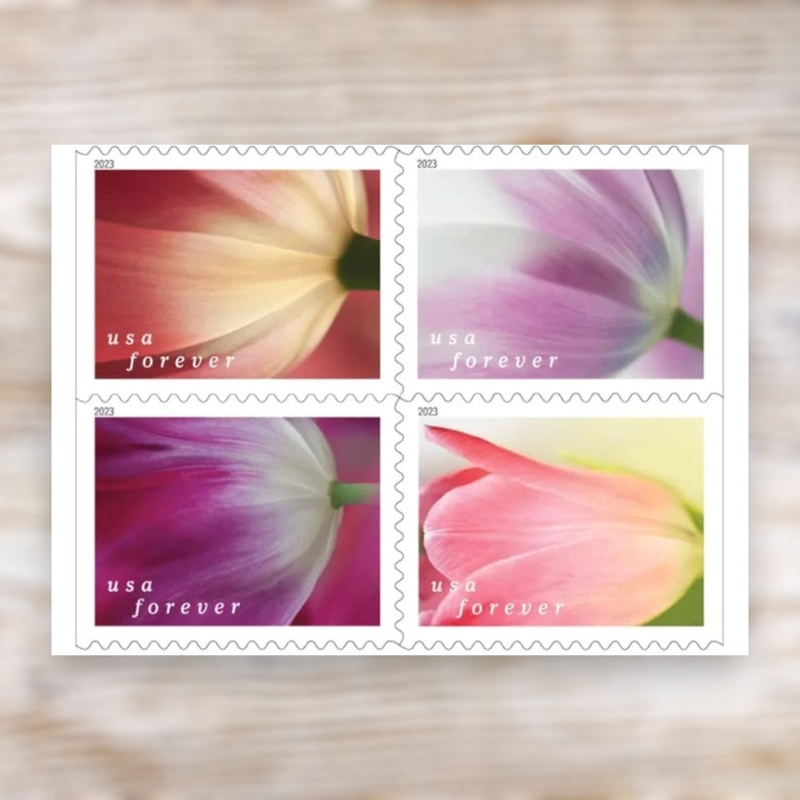 Tulip Blossoms 2023 Forever Postage Stamps Self-Adhesive Booklet for Love and Wedding Mail
