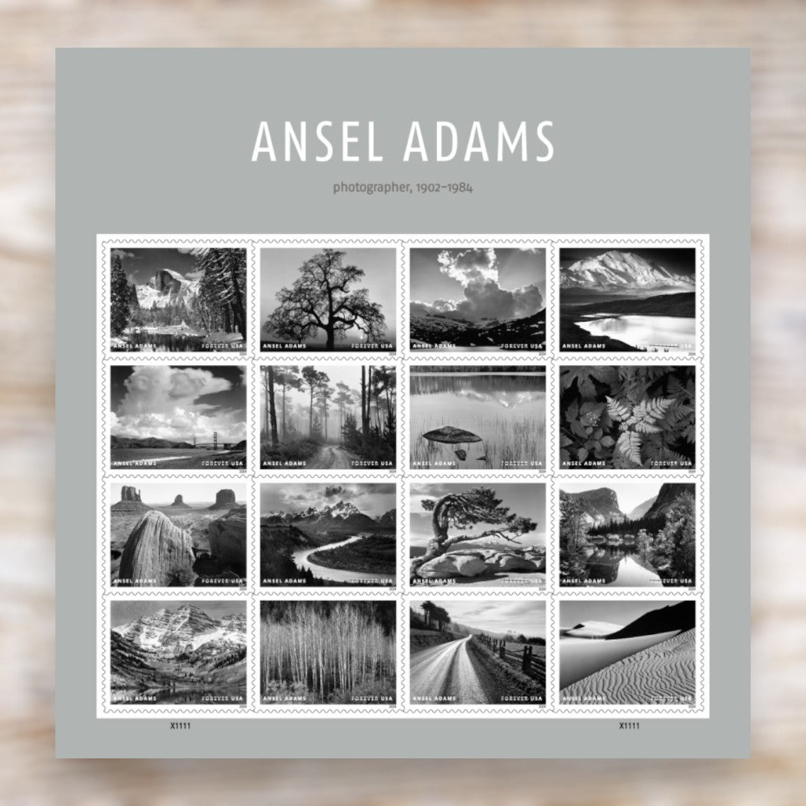 Ansel Adams 2024 Forever Postage Stamps Self-Adhesive Sheet for Commemorative Mail