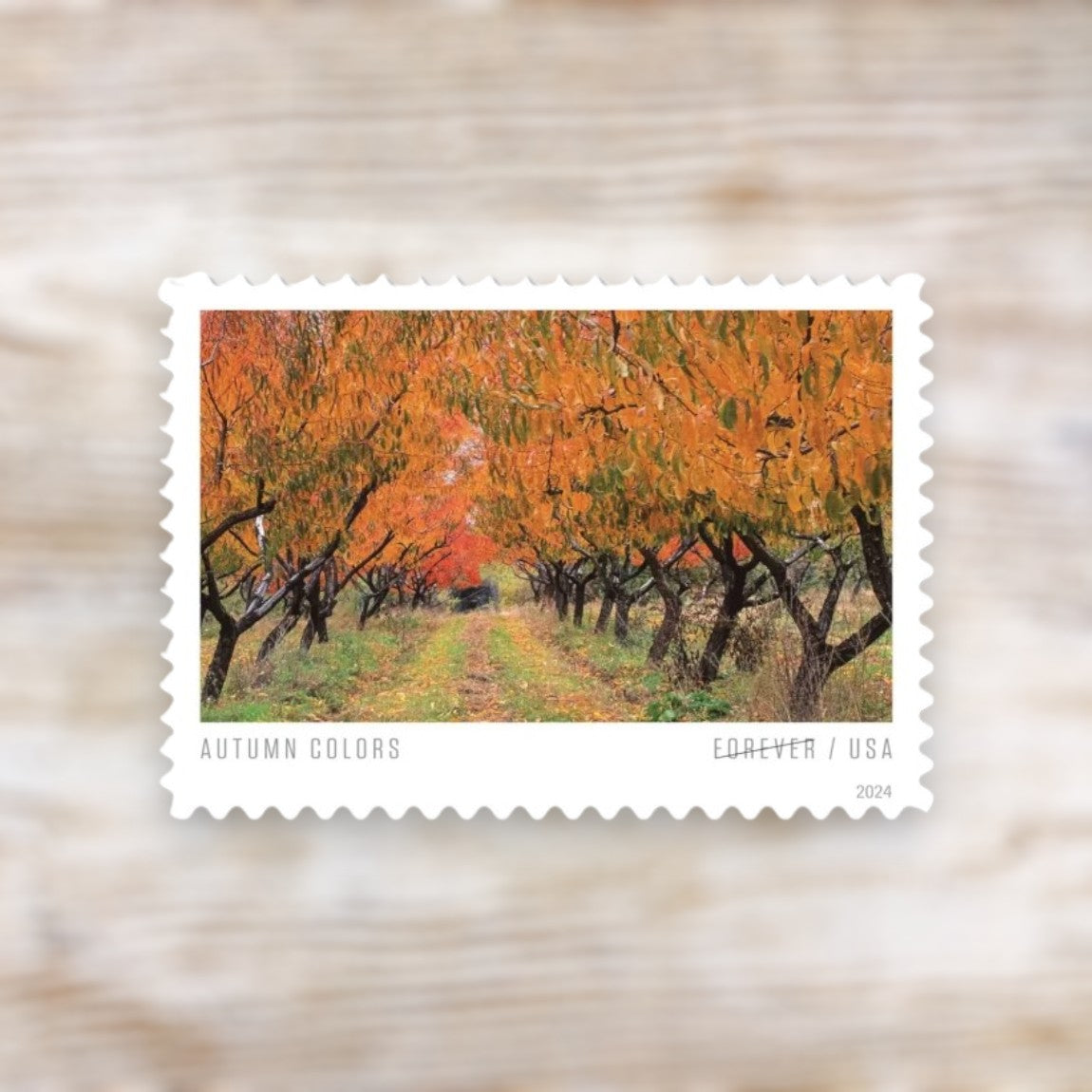 Autumn Colors 2024 Forever Postage Stamps Self-Adhesive Sheet for Fall Cards and Letters