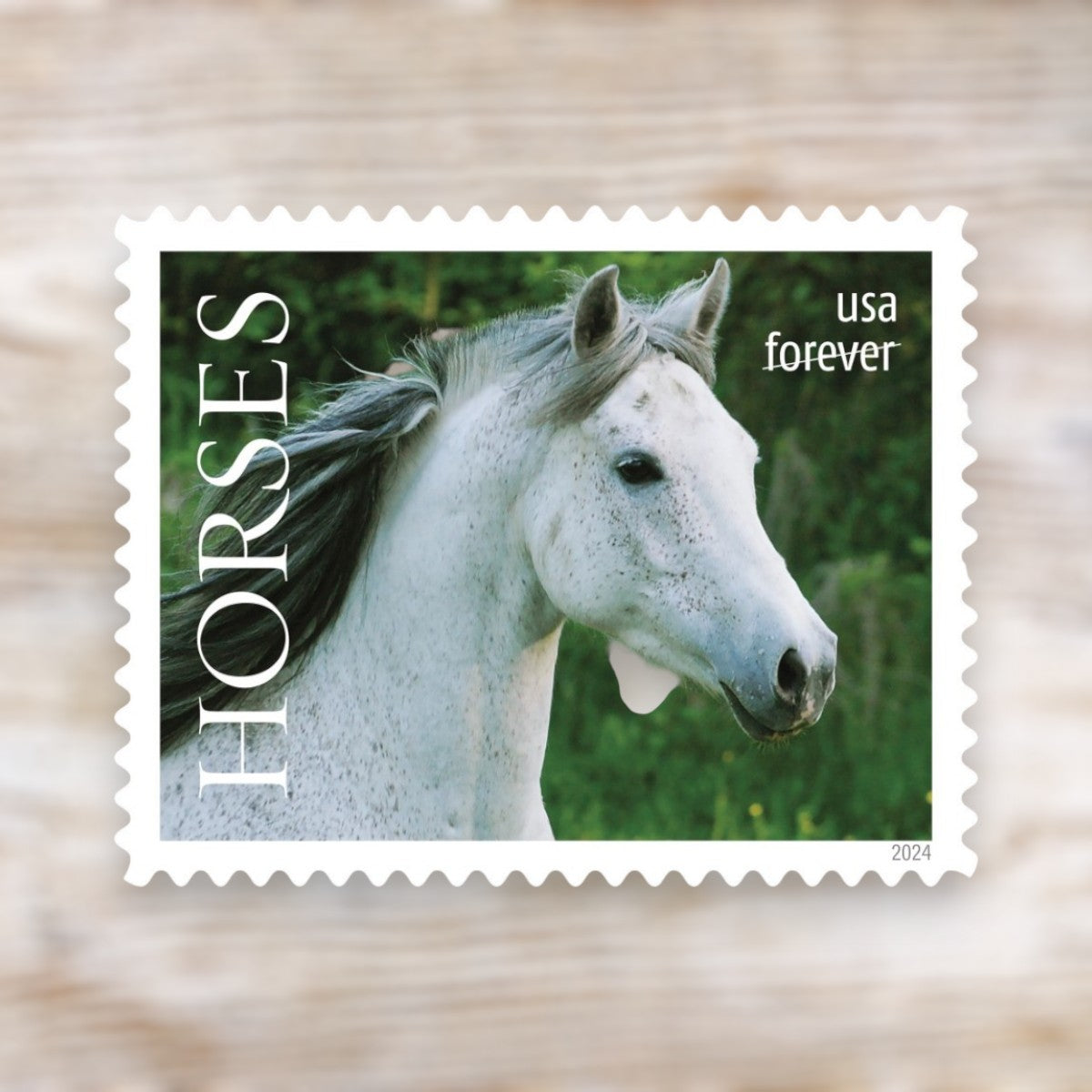 Horses 2024 Forever Postage Stamps Adhesive Sheet for Everyday Mailing