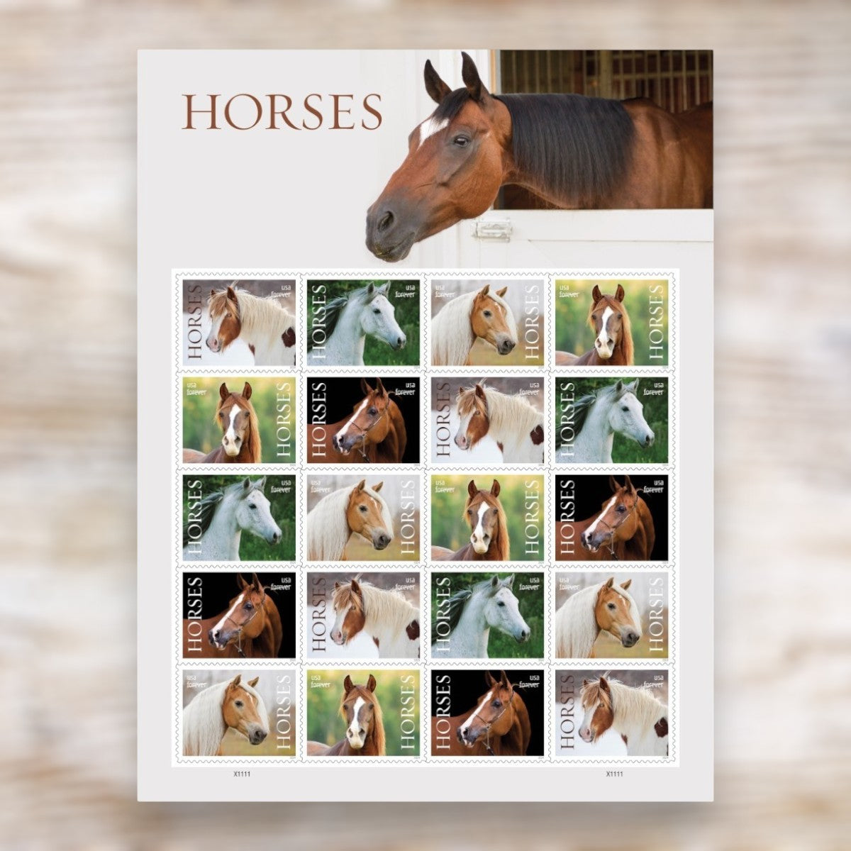 Horses 2024 Forever Postage Stamps Adhesive Sheet for Everyday Mailing