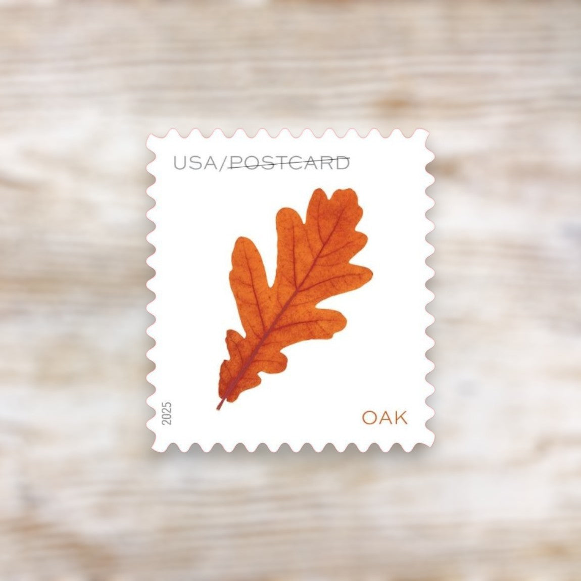 Vibrant Leaves 2025 Postcard Rate Stamps Self-Adhesive Sheet for Postcards