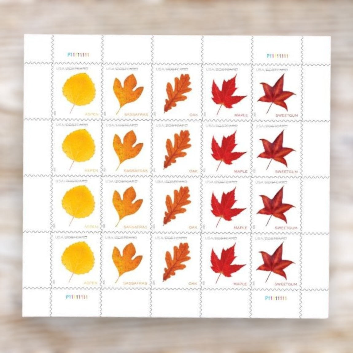 Vibrant Leaves 2025 Postcard Rate Stamps Self-Adhesive Sheet for Postcards