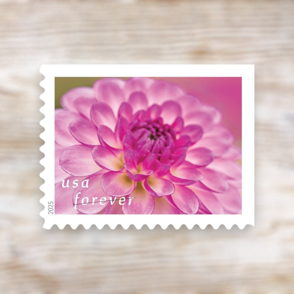 Dahlias 2025 Forever Postage Stamps Self-Adhesive Booklet for Greeting Cards and Letters