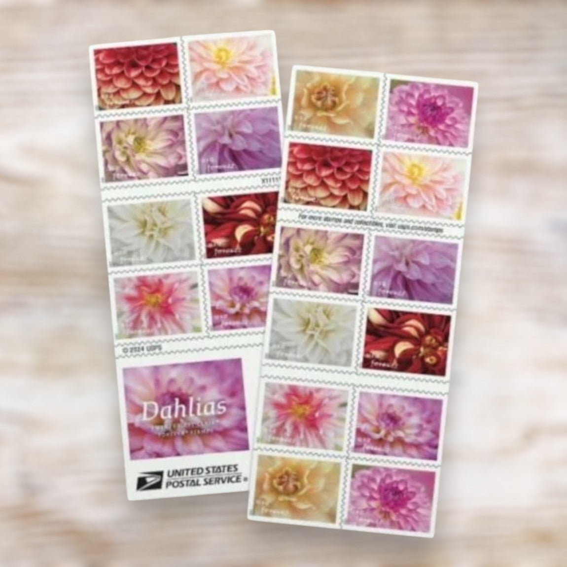 Dahlias 2025 Forever Postage Stamps Self-Adhesive Booklet for Greeting Cards and Letters