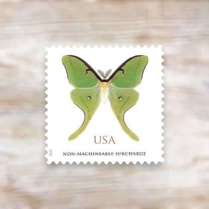 Luna Moth 2025 Non-Machineable Surcharge Postage Stamps Self-Adhesive Sheet for Wedding Invitations and Square Envelopes